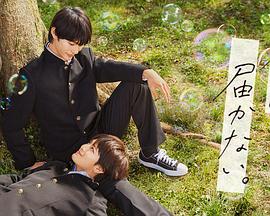 小菊的秋天第二部